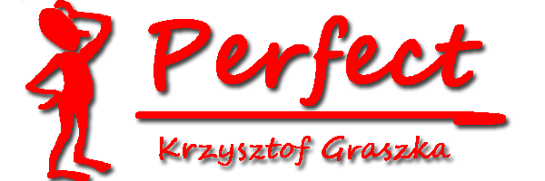 Perfect: Usługi budowlane